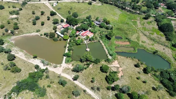 Fazenda 31.6 alqueires à Venda, Padre Bernardo - GO
