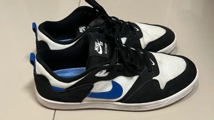 Nike Sb Alleyoop