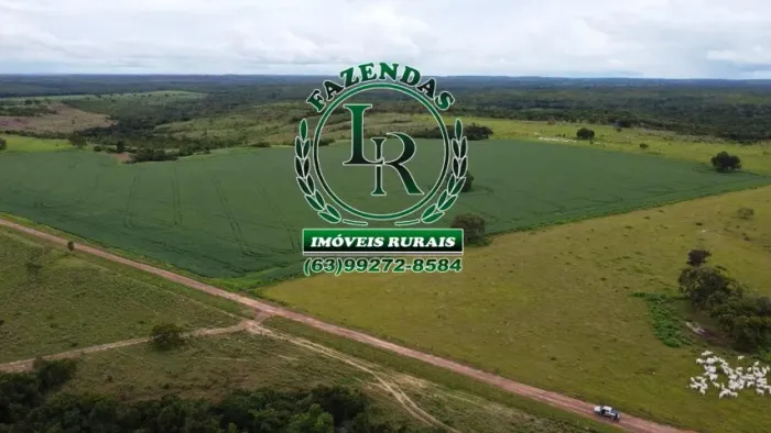 Fazenda Agricultura 521 alqueires, 2.521 Hectares