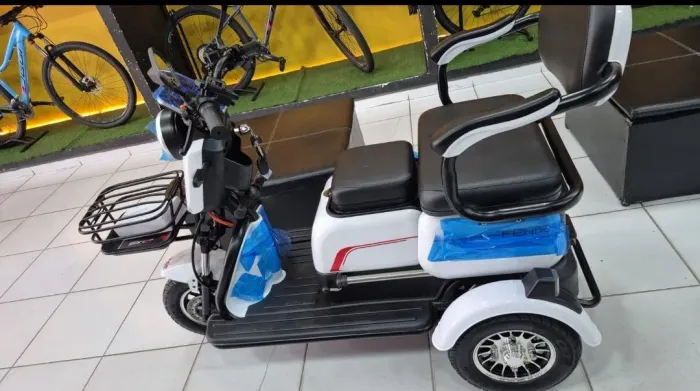 Triciclo com bateria de lítio 750W