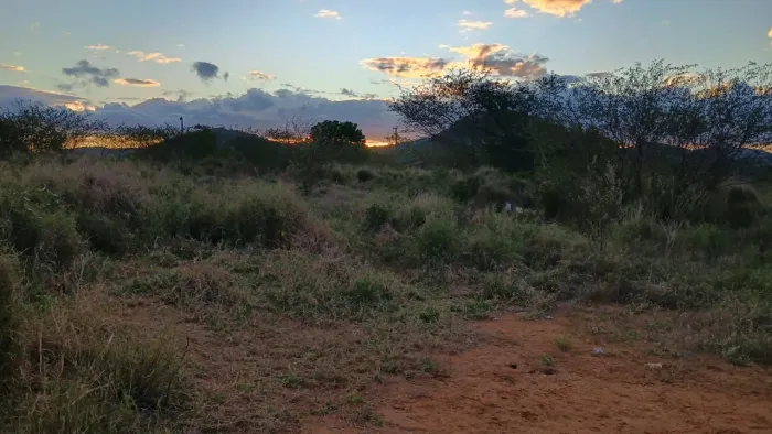 OPORTUNIDADE ÚNICA - VENDO SÍTIO