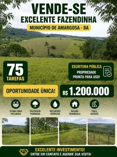 Vendo fazendinha no município de amargosa 