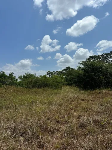 Terreno