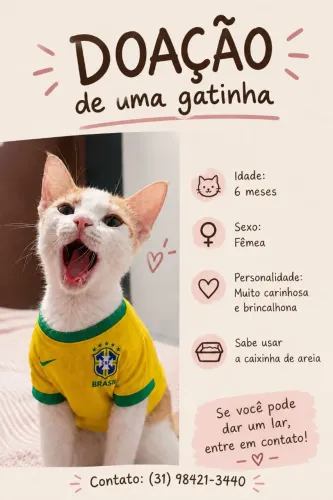 Adoção responsável