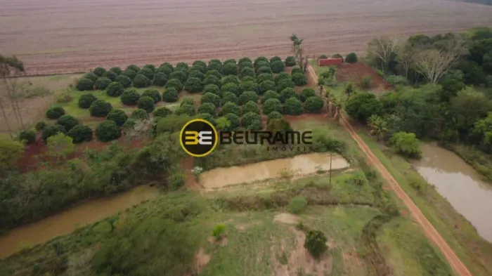 VENDA | Negócio, em Area Rural, São Jorge Do Ivaí
