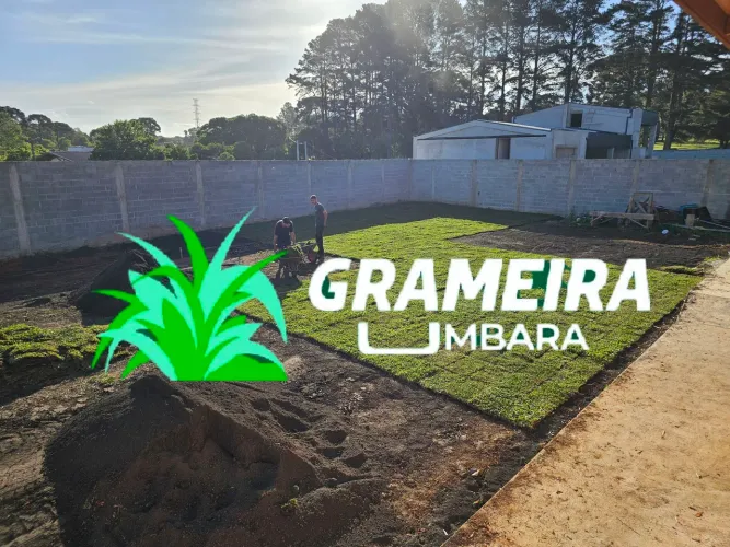 Plantio De Grama