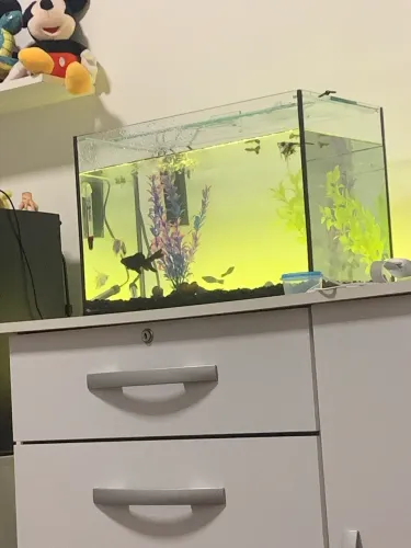 Vendo aquário novíssimo 32 L