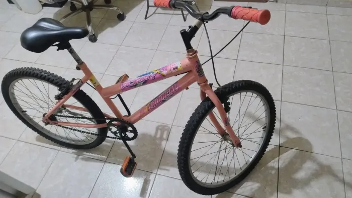 Bicicleta aro 24