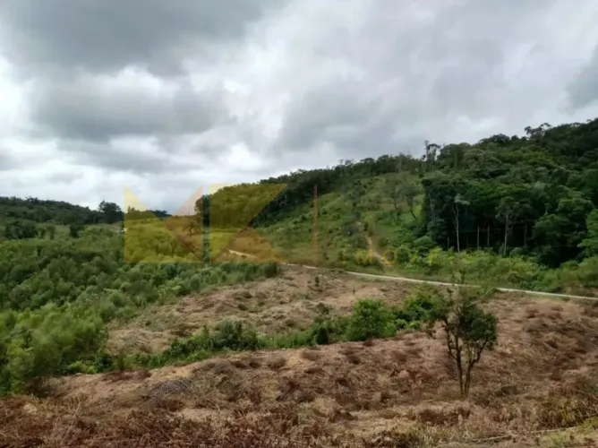 Sitio em Rio dos Cedros a venda