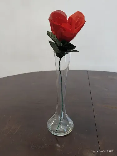 Vaso solitário em vidro transparente