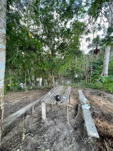 Terreno com igarapé 