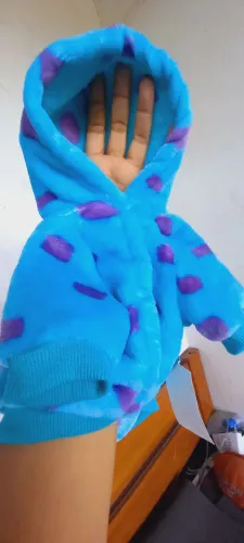 Roupas pets
