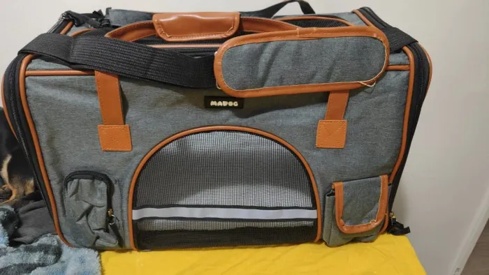 Bolsa Pet para cães e gatos
