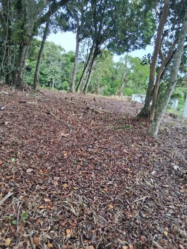 Terreno loteamento Santa Catarina Biguaçu