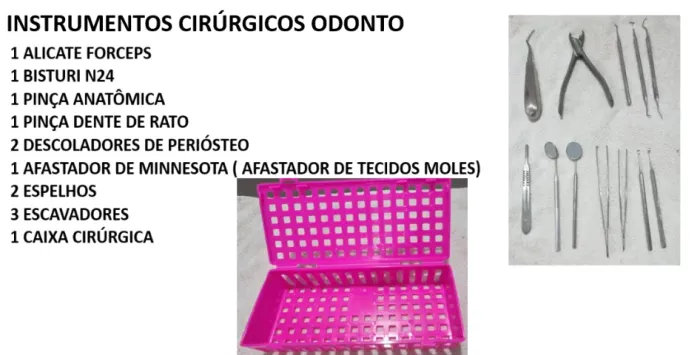 INSTRUMENTOS CIRÚRGICO ODONTOLÓGICO VETERINÁRIO