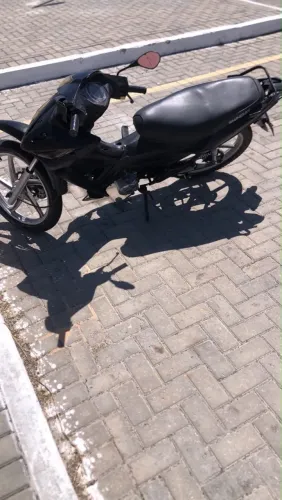 Shineray Phoenix S 50 2025