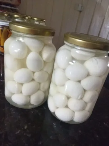 Ovos de codorna