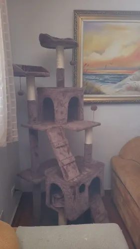 Casinha para gatos