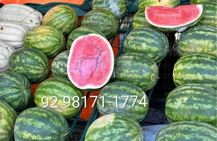 Melancia, Laranja e Mamão + entrega à domicílio