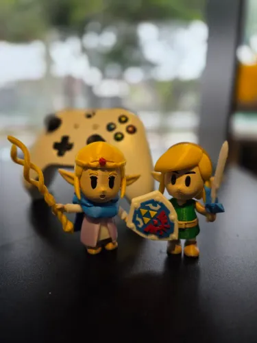 Zelda & Link - Echoes Widow / Link's Awekening
