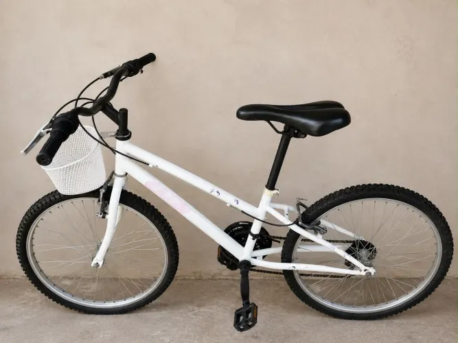 Bicicleta aro 24
