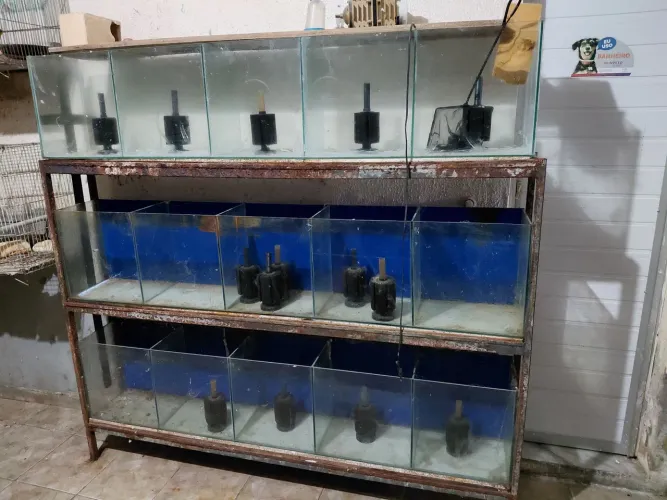 Aquário completo com 15 divisórias e motor mais filtros rs 1200 reais