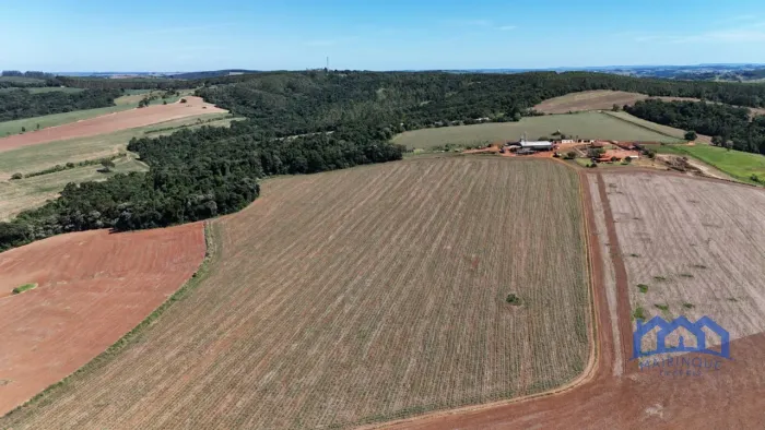 Sítio/Fazenda à Venda, 80 alqueires por R$ 22.000.000 Cód. ch2721