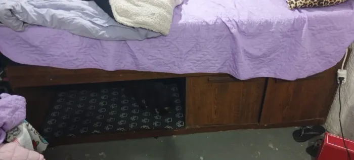 Cama casal com espaço para pet, não acompanha colchão