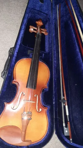 Violino