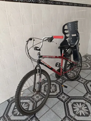 Bicicleta Adulta 