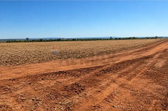 Fazenda 812 hectáres | Água Boa