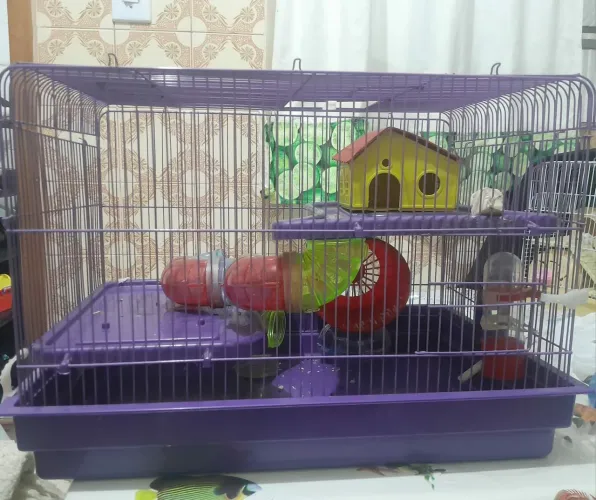 Gaiola para hamster e roedores