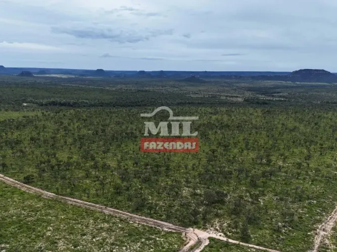 Fazenda 475 alqueires (2.300 hectares) Dianópolis - Go