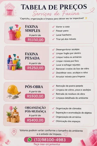Faxina e organização 