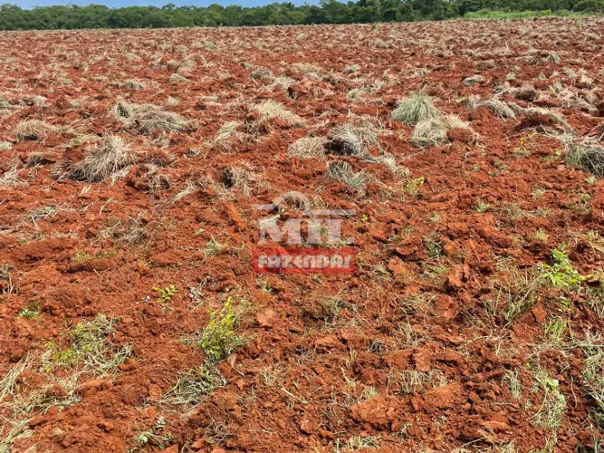 Arrendamento 526 Alqueires (2.545 Hectares) Porangatu - GO