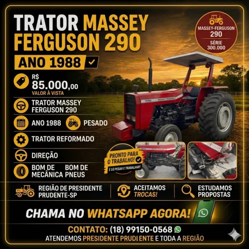 Trator Massey Ferguson 290 Pesado