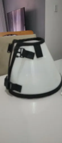 Colar para cachorro
