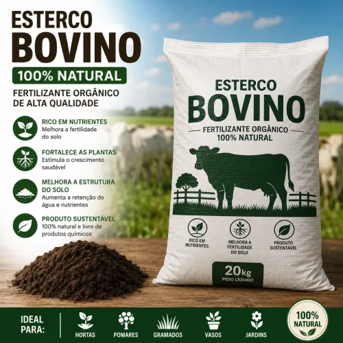 Esterco bovino 