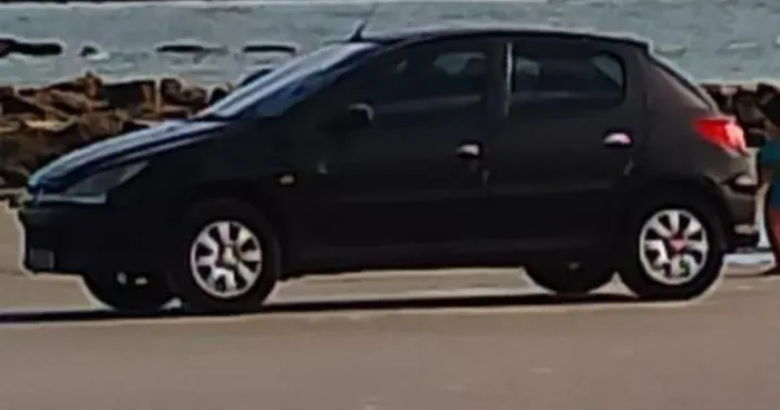 Peugeot 206 Feline 1.4/ 1.4 Flex 8V 5P 2005