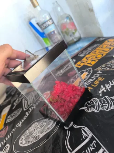 Aquário de vidro pequeno com tampa e decoração