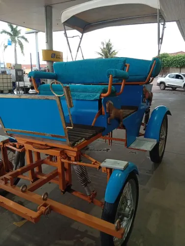 Trole para um ou dois cavalos.