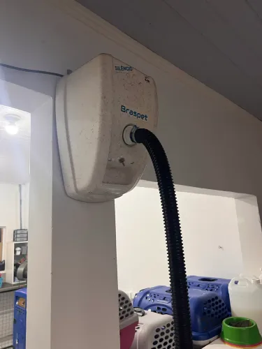 Soprador pelo pet (animais), silencioso, Braspet, ótimo estado, praticamente novo. 220V