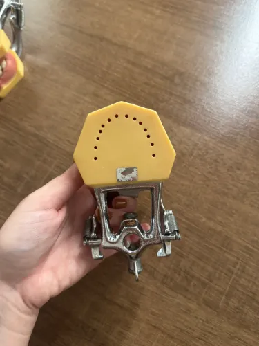 MANEQUIM MOM - ODONTOLOGIA