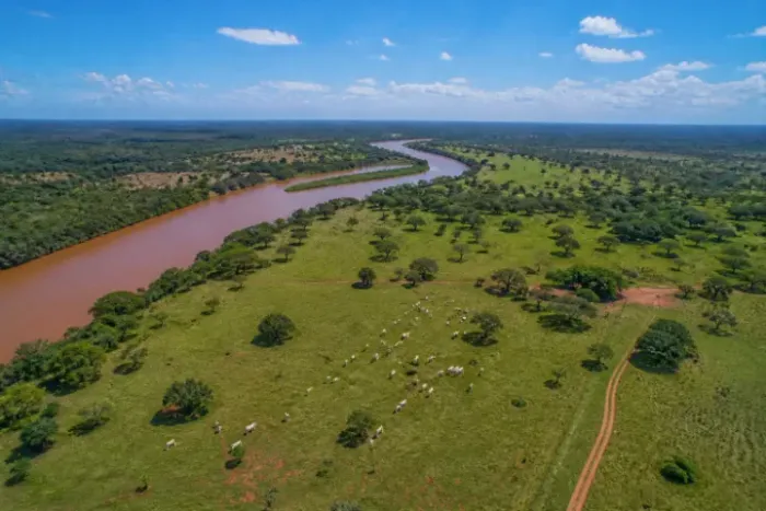 Fazenda +1.500 ha dupla aptidão em MG - porteira fechada