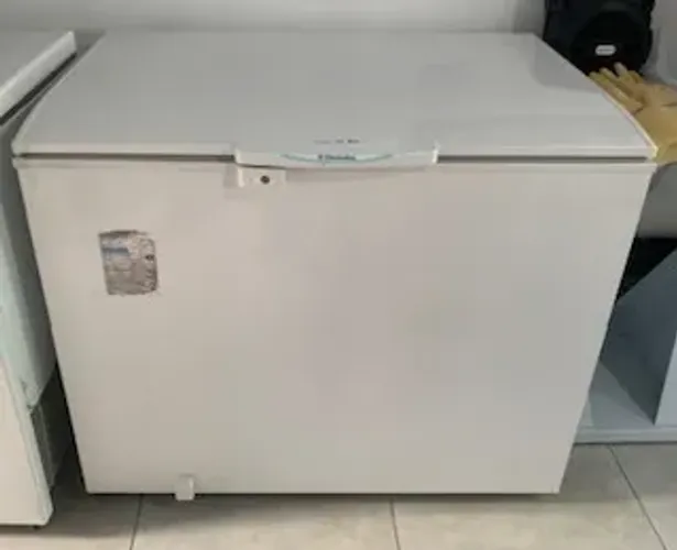 Freezer Horizontal Electrolux 1 Porta 314L - Dupla Ação H330 - 110V