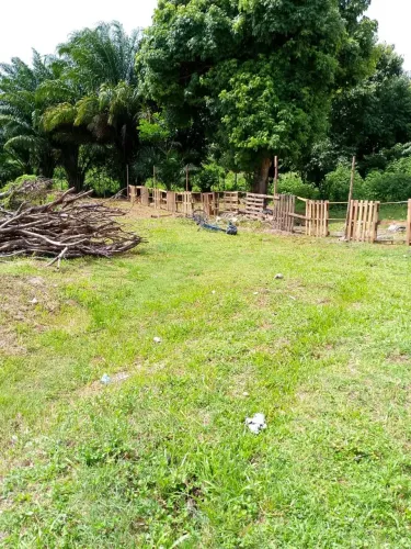 Terreno em dias D'Ávila, Genaro 