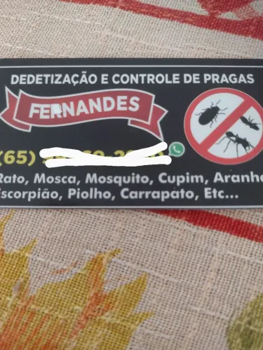 Dedetização e Controle de Pragas