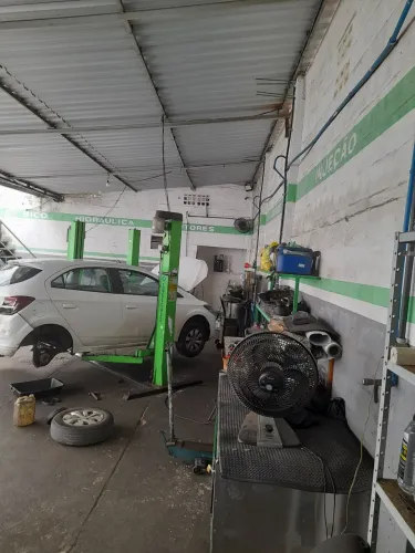 Mecânico automotivo linha leve.