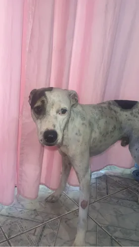Doação