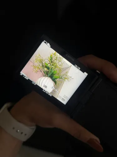 Câmera Sony zev10